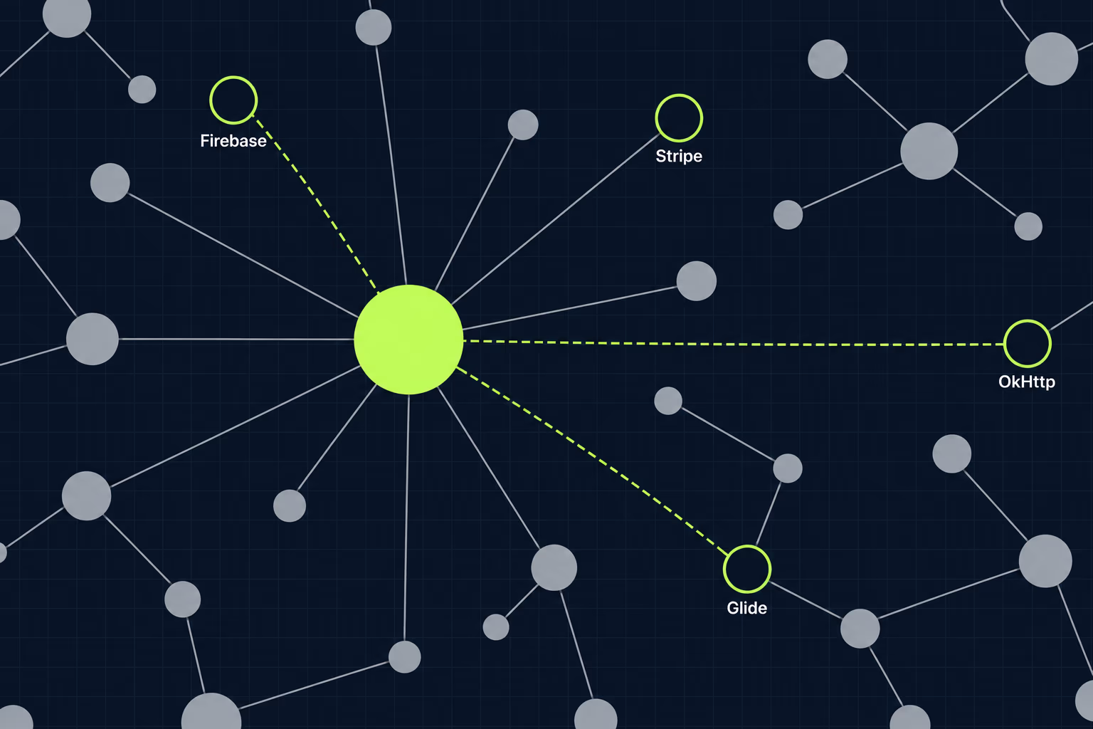 app privacy network audit